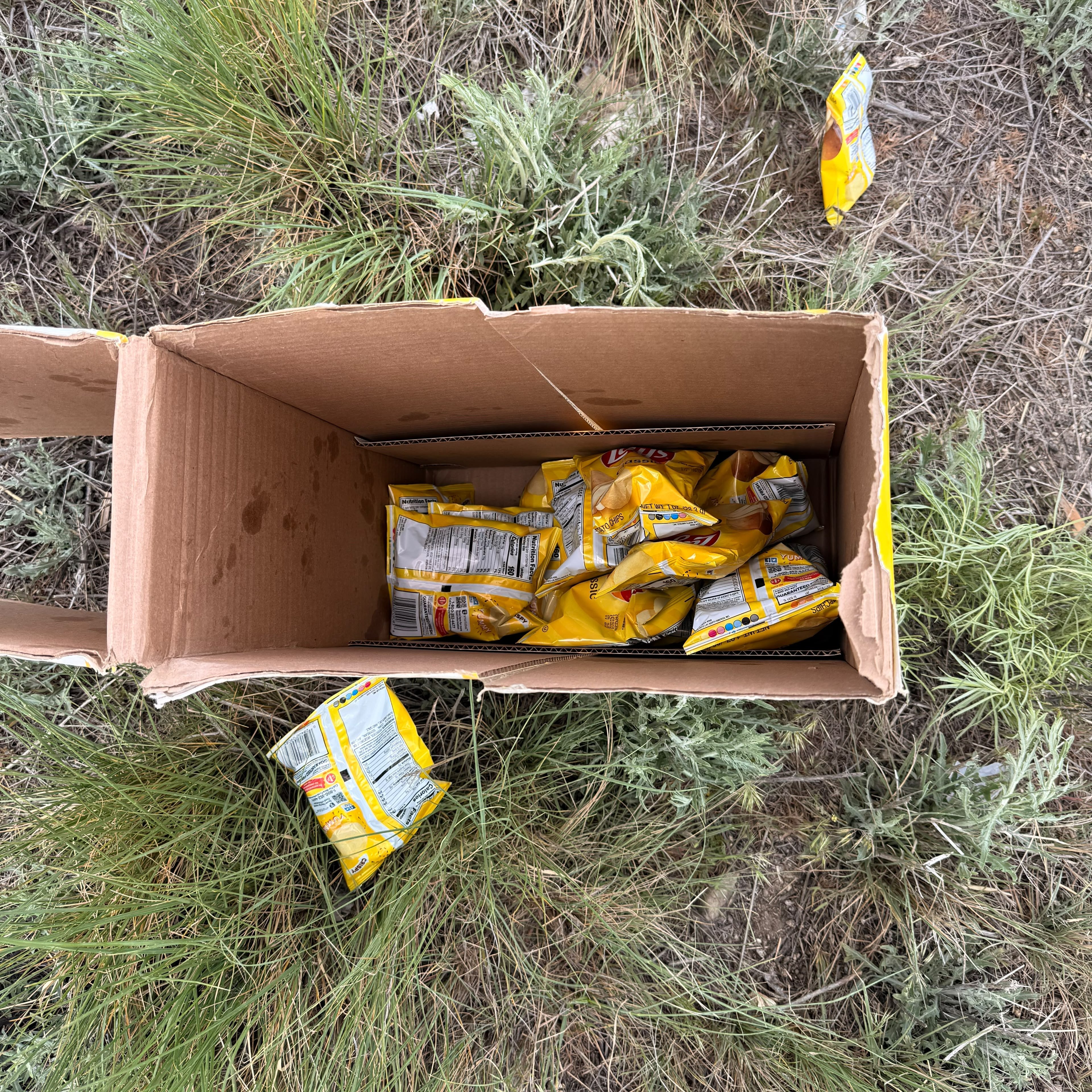 An open cardboard box of Lay's crisps in the grass