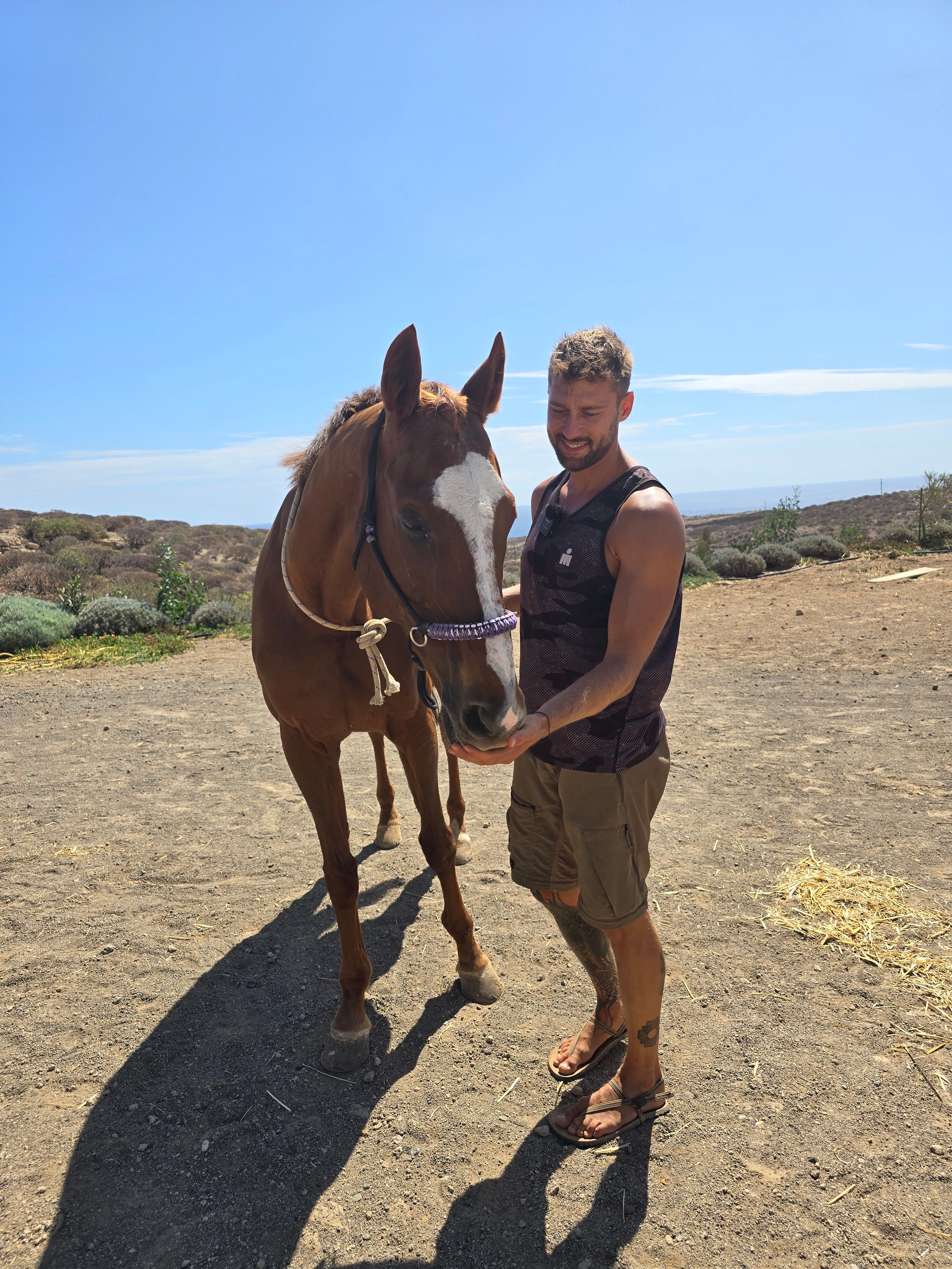 David Bossek working as a videographer at an animal rescue centre in Tenerife.