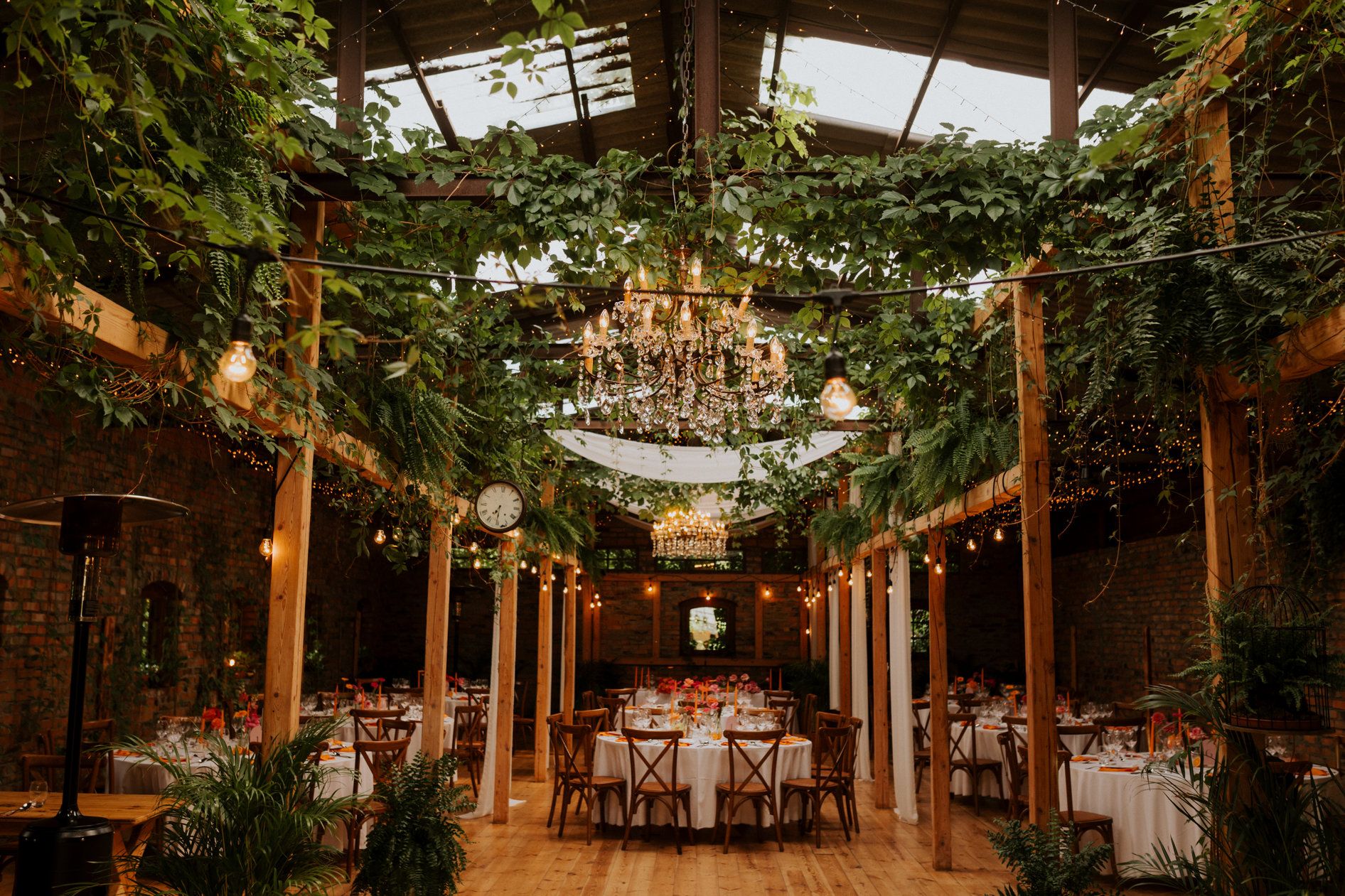 Zdjęcie z galerii