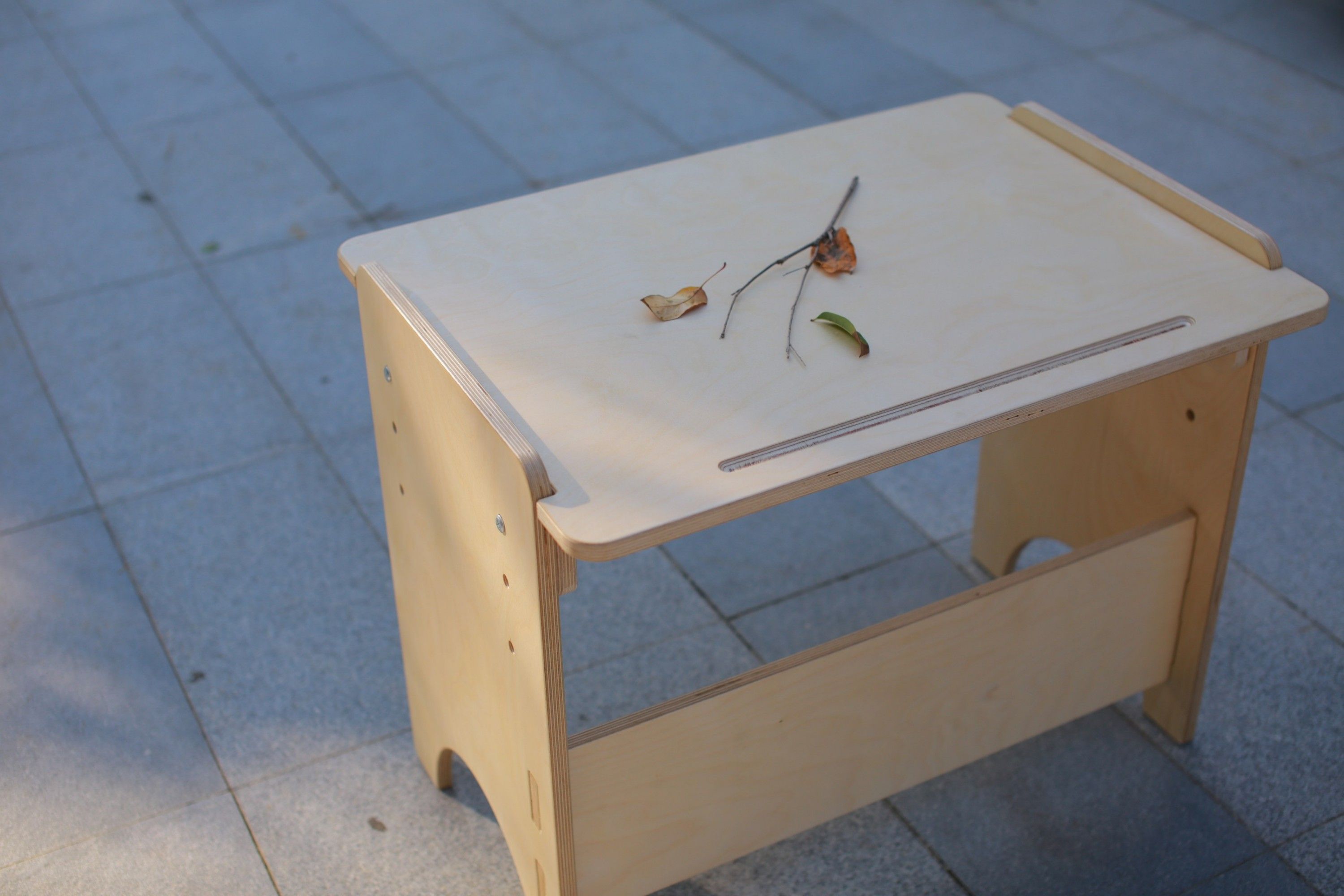 The birch plywood desk with a twig and leaves on its top