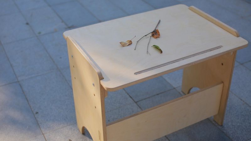 The birch plywood desk with a twig and leaves on its top