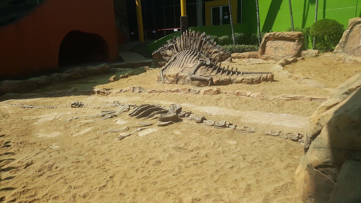 Children’s Discovery Museum - Image 5