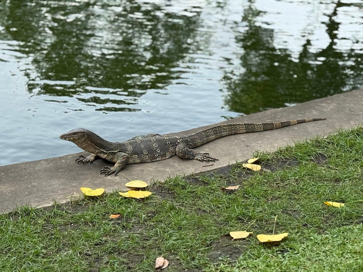 Santiphap Park Playground - Image 5