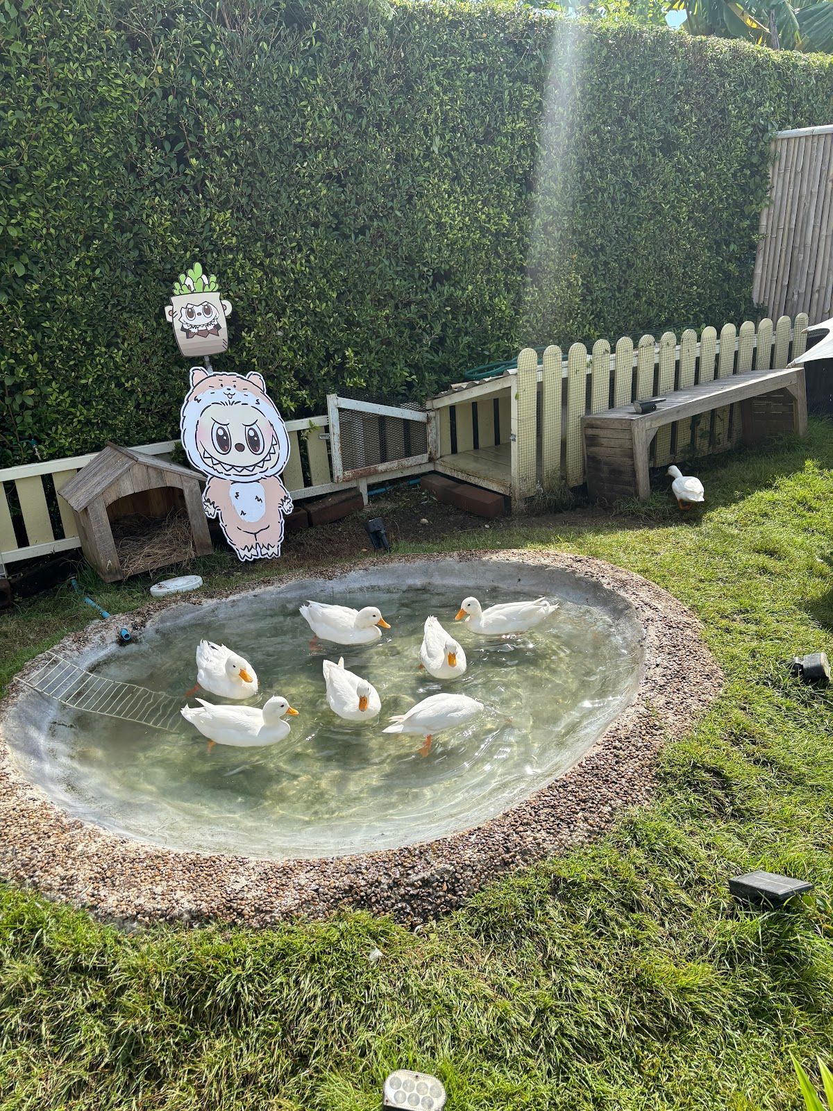 Seven Sisters Kids Cafe & Halal Cuisine - Image 8