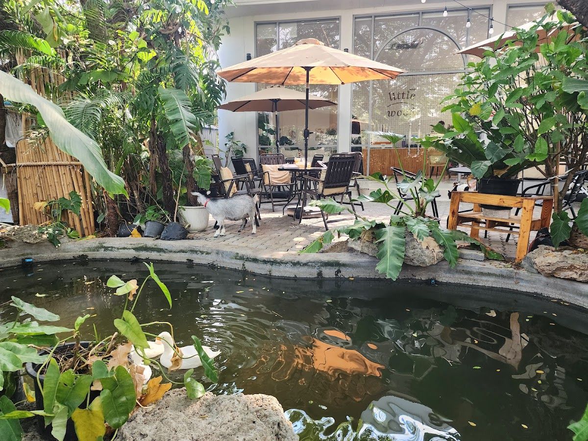 Little Wood - Image 7