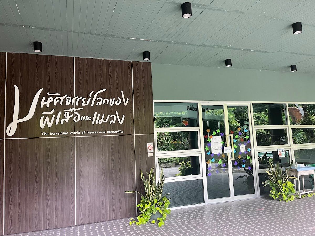 Bangkok Butterfly Garden and Insectarium - Image 9