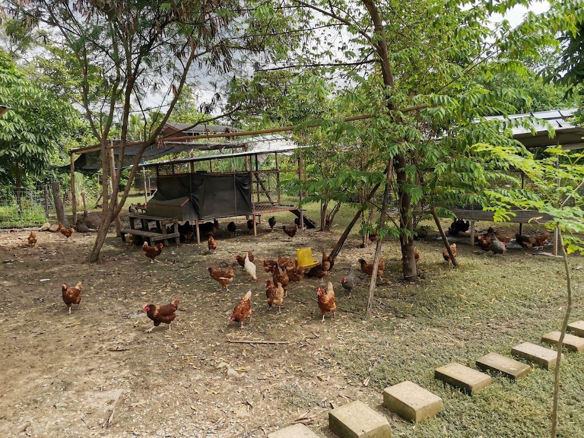 Get Growing Community Farm - Image 9