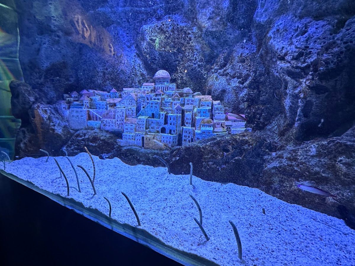 Sea Life Bangkok Ocean World - Image 10