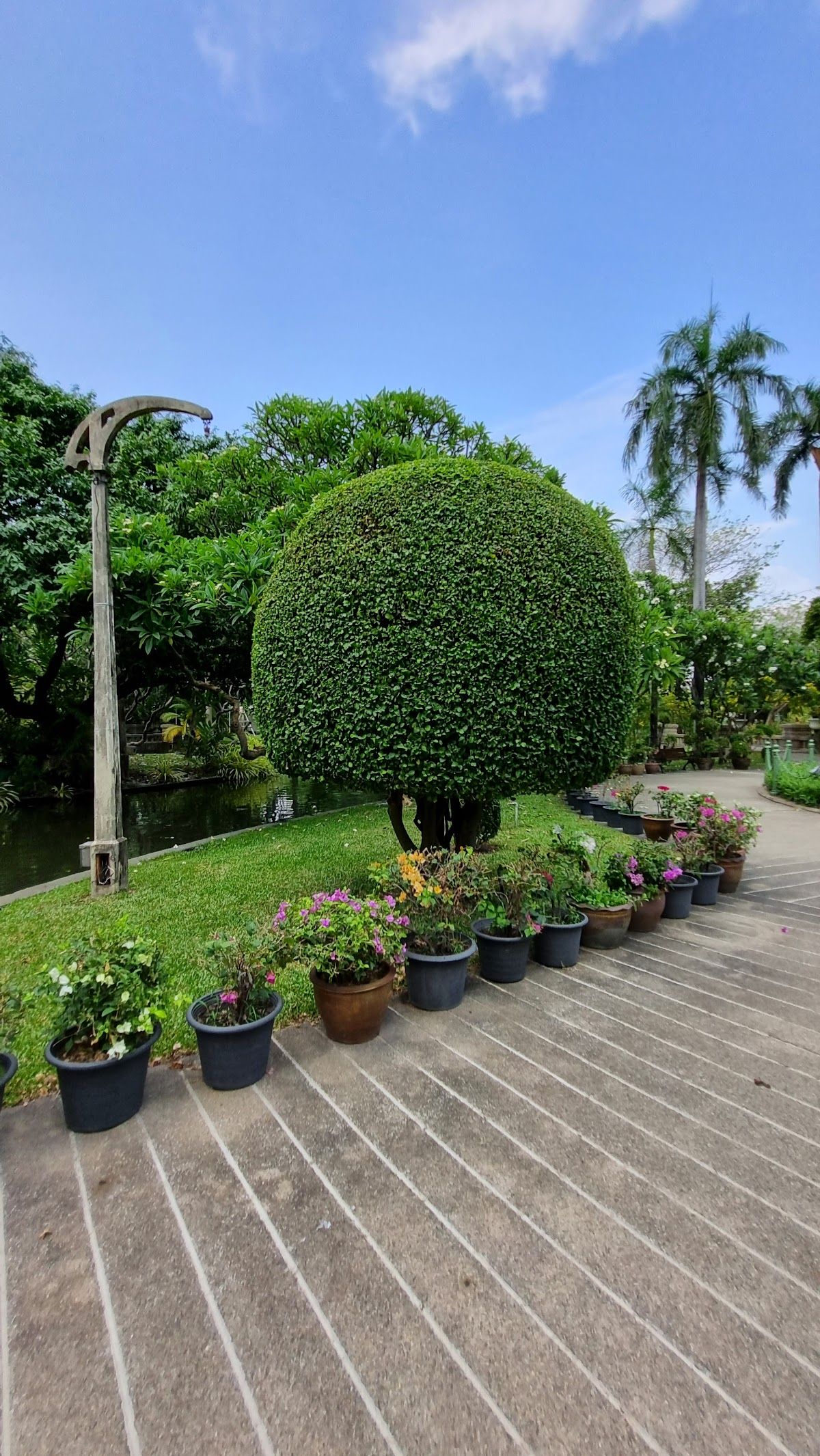 Playground - Image 7