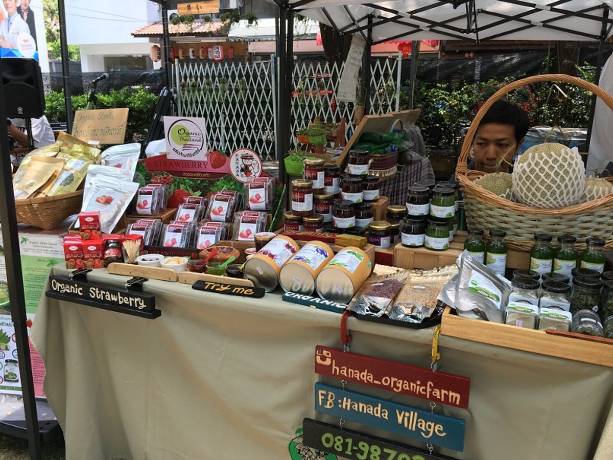 Angoon Malik Garden - Image 7