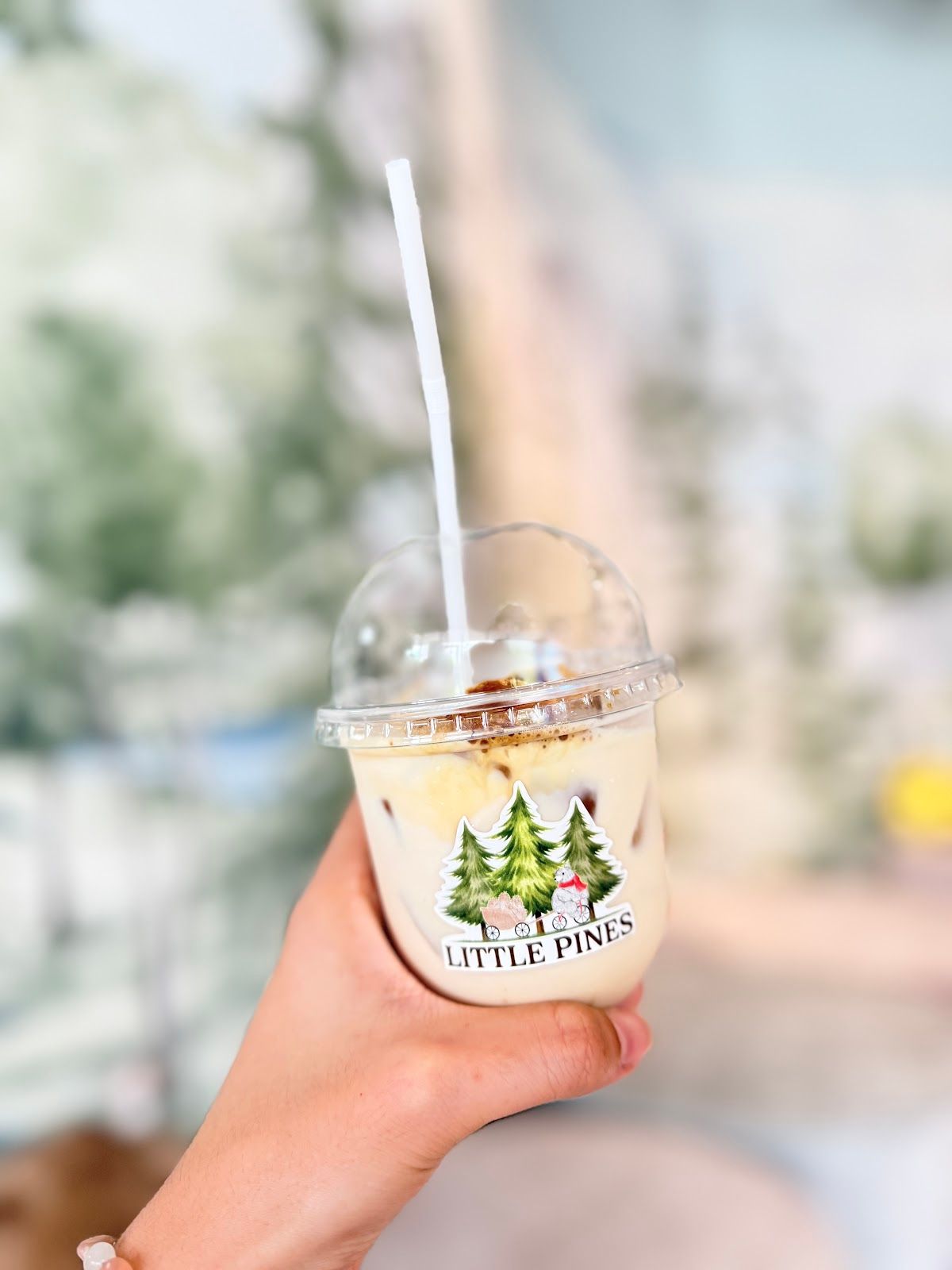 Little Pines Learning Center - Image 8