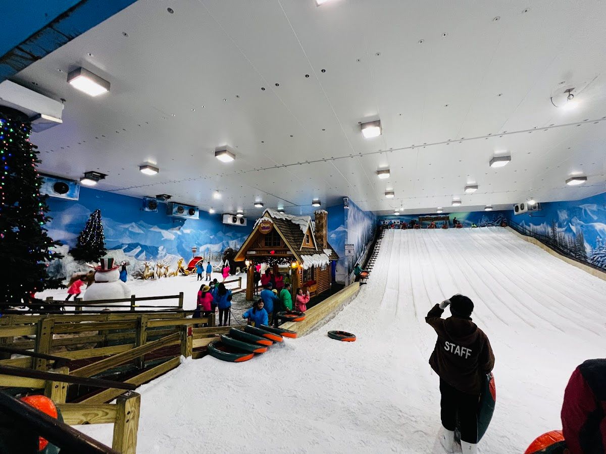 Dream World - Image 10