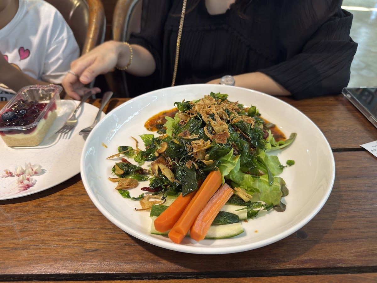 Hungry Monkey - Image 3