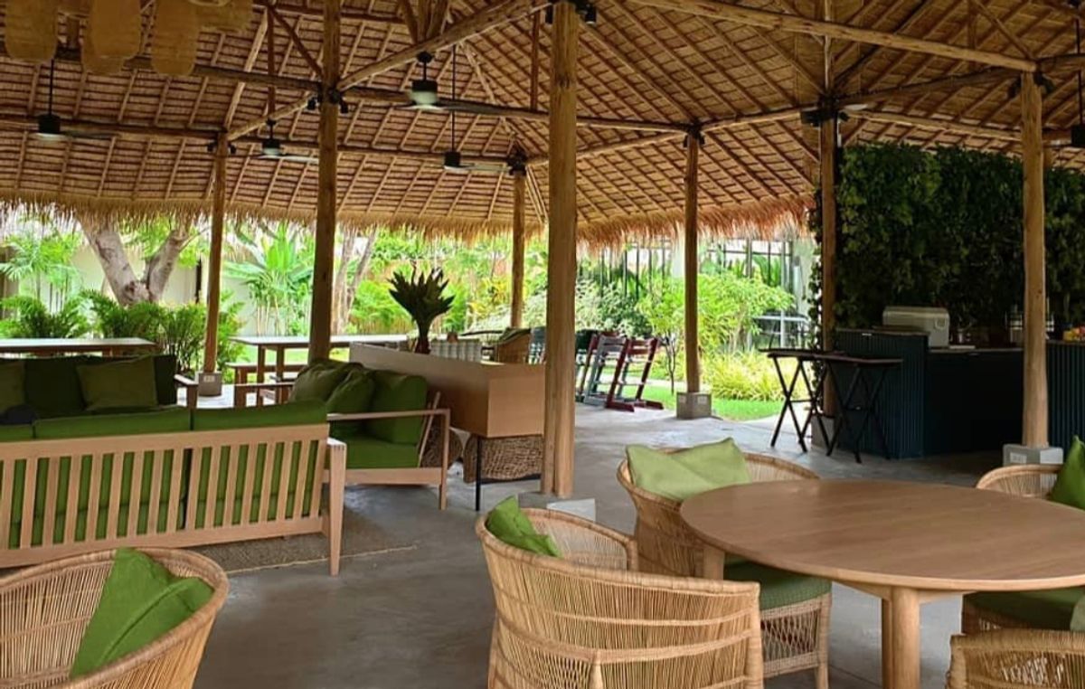 Sweet Poppy - Image 10