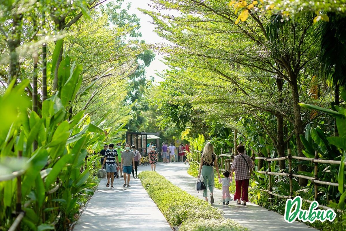 Dubua Cafe - Image 6