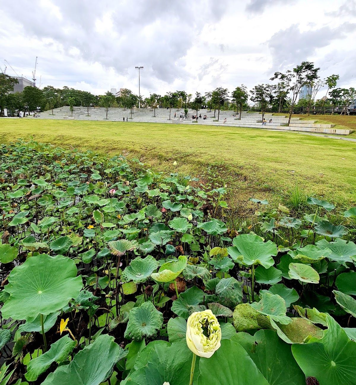 Benchakitti Park - Image 9