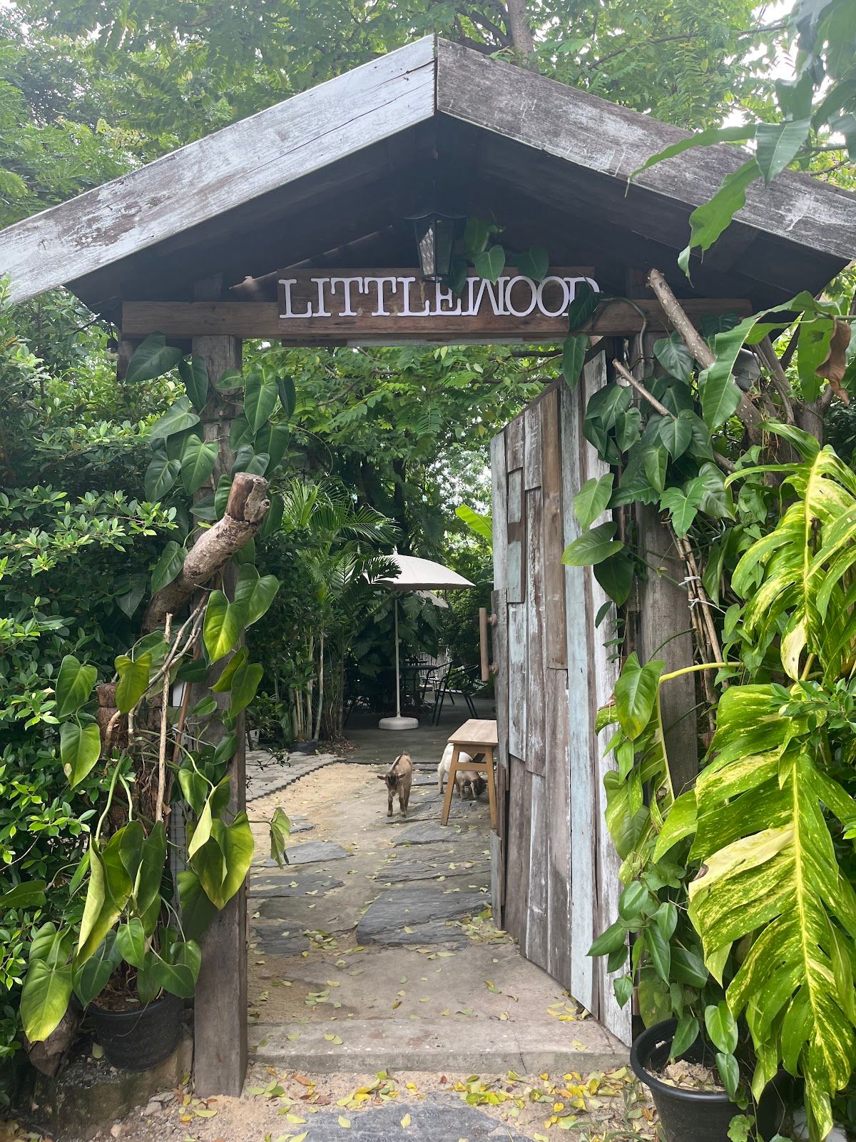 Little Wood - Image 10