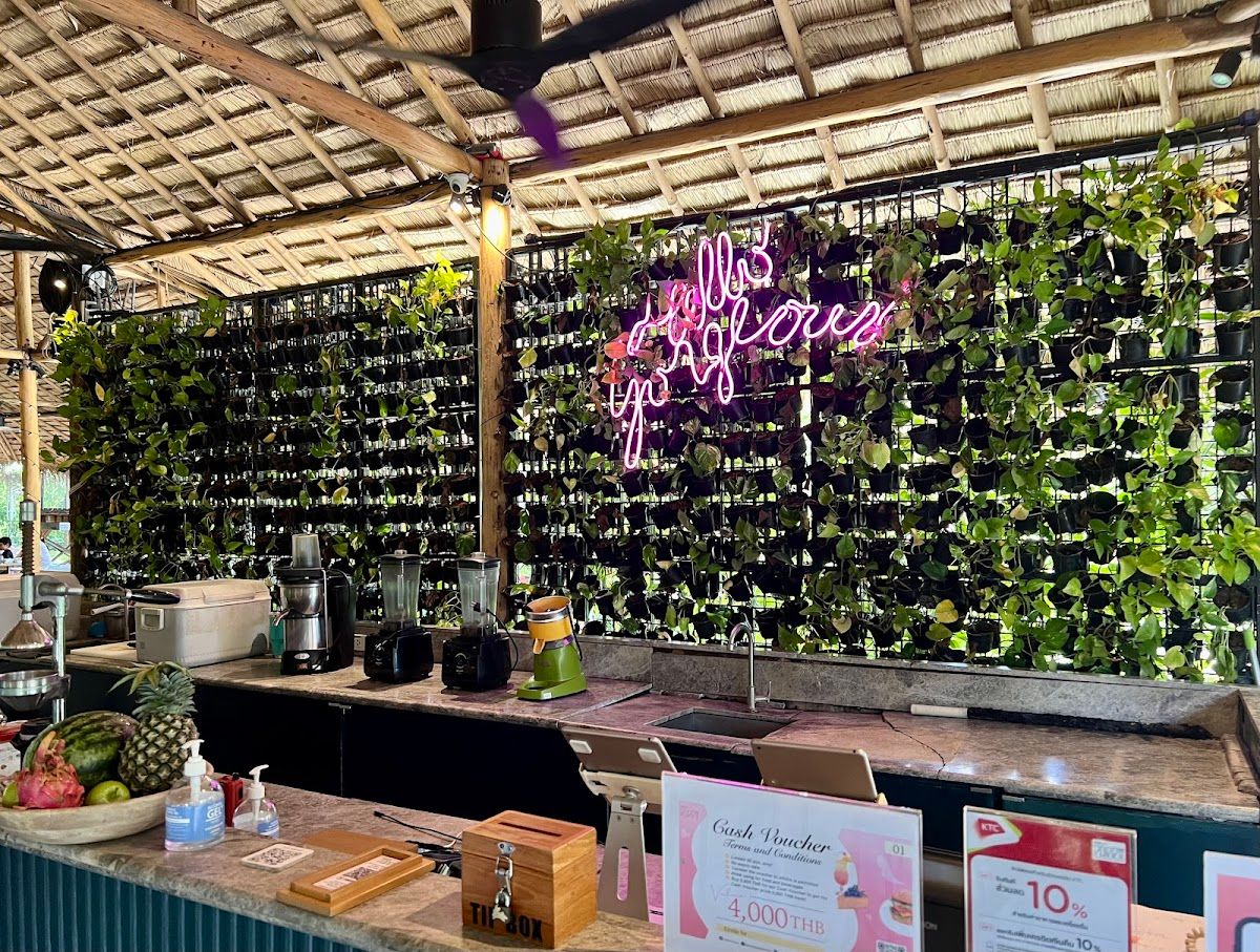 Sweet Poppy - Image 1