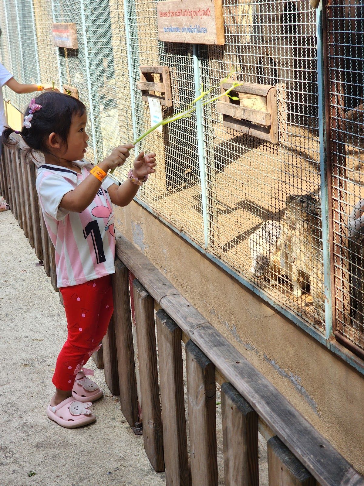 Safari Garden Playground & Cafe - Image 10