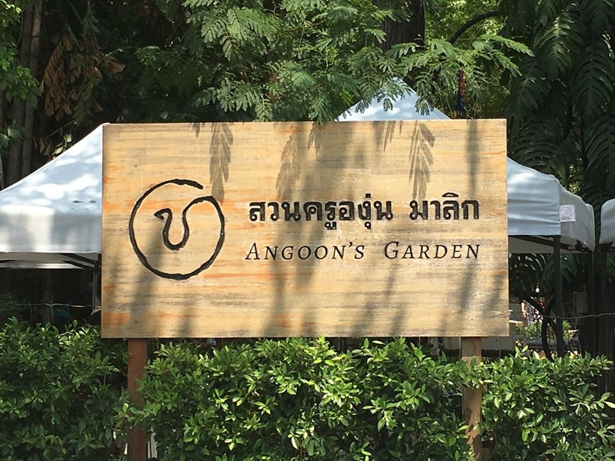 Angoon Malik Garden - Image 3