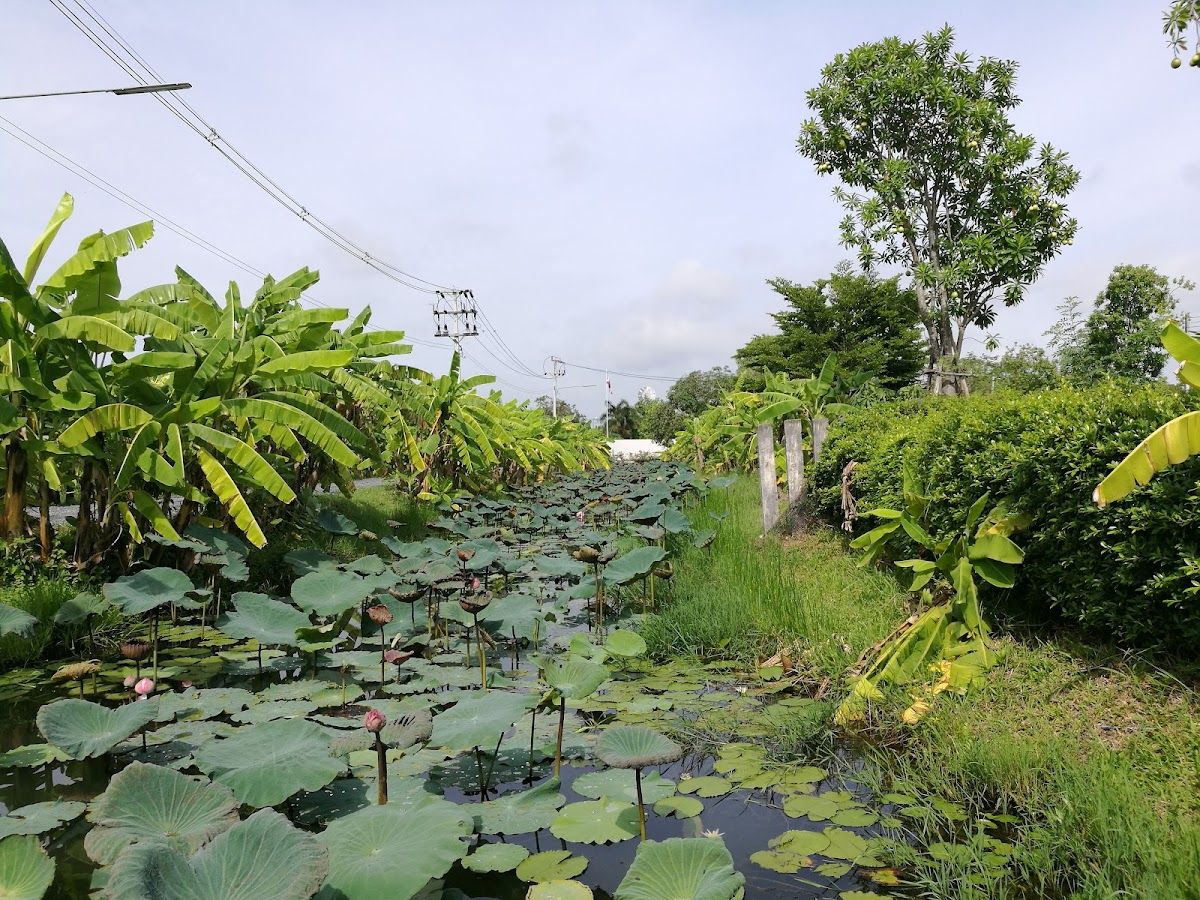 Farm de Lek - Image 3