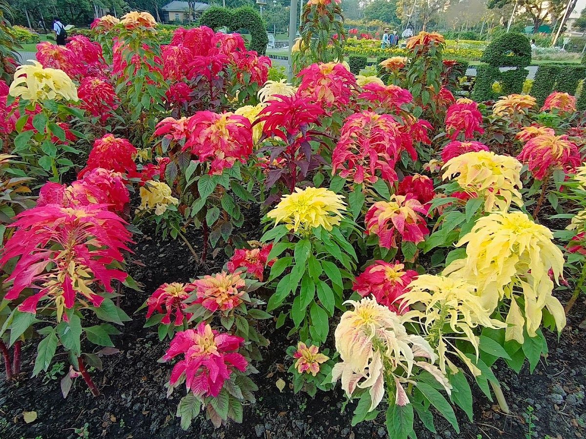 Santiphap Park Playground - Image 10