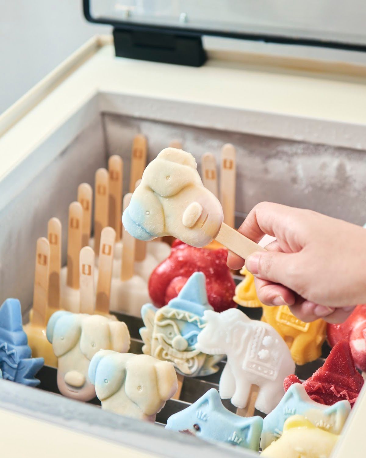 Little Pine Kids Club - Image 5