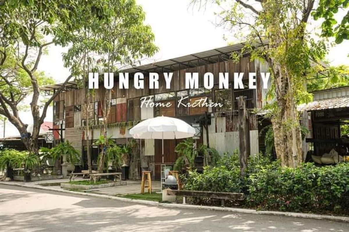 Hungry Monkey - Image 1