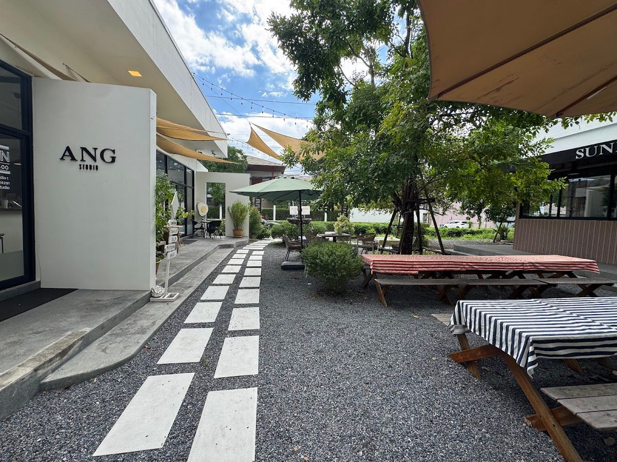 Sunny park - Image 7