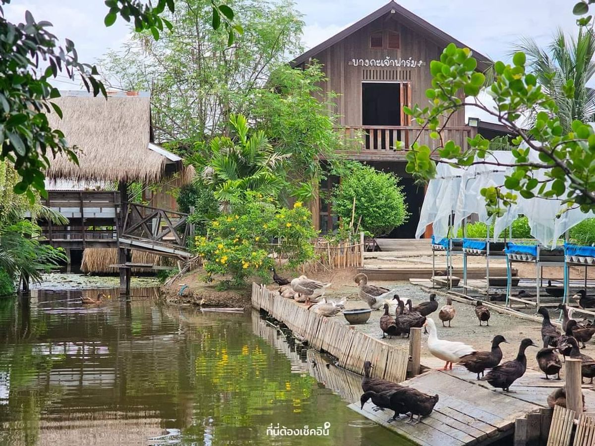 Bangkachao Farm - Image 2