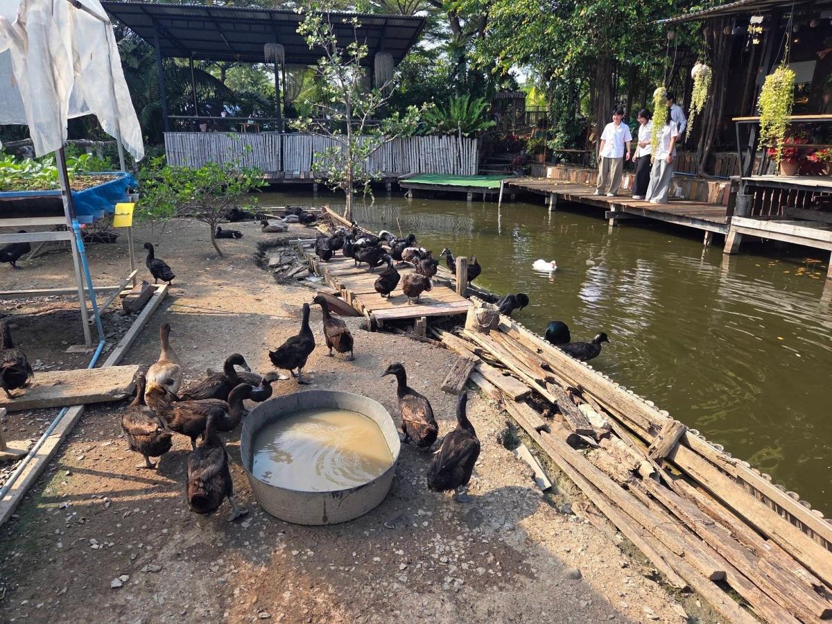 Bangkachao Farm - Image 3