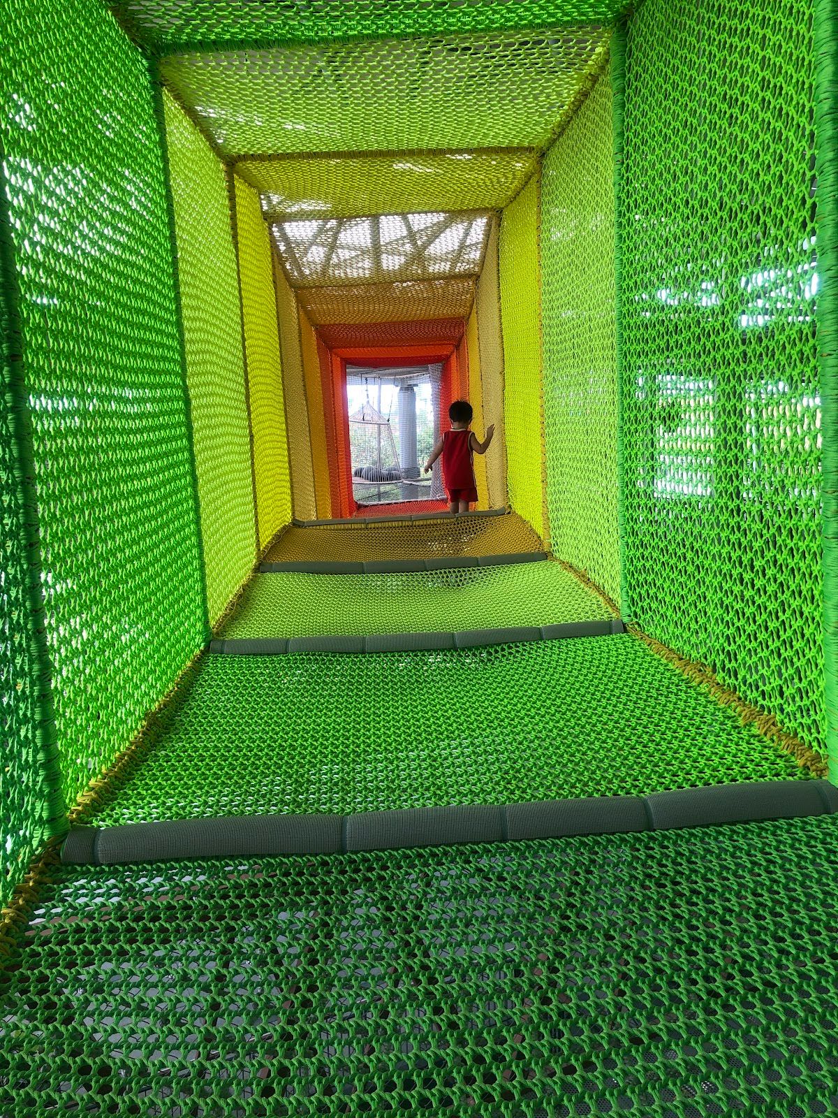 Net Playground - Image 7