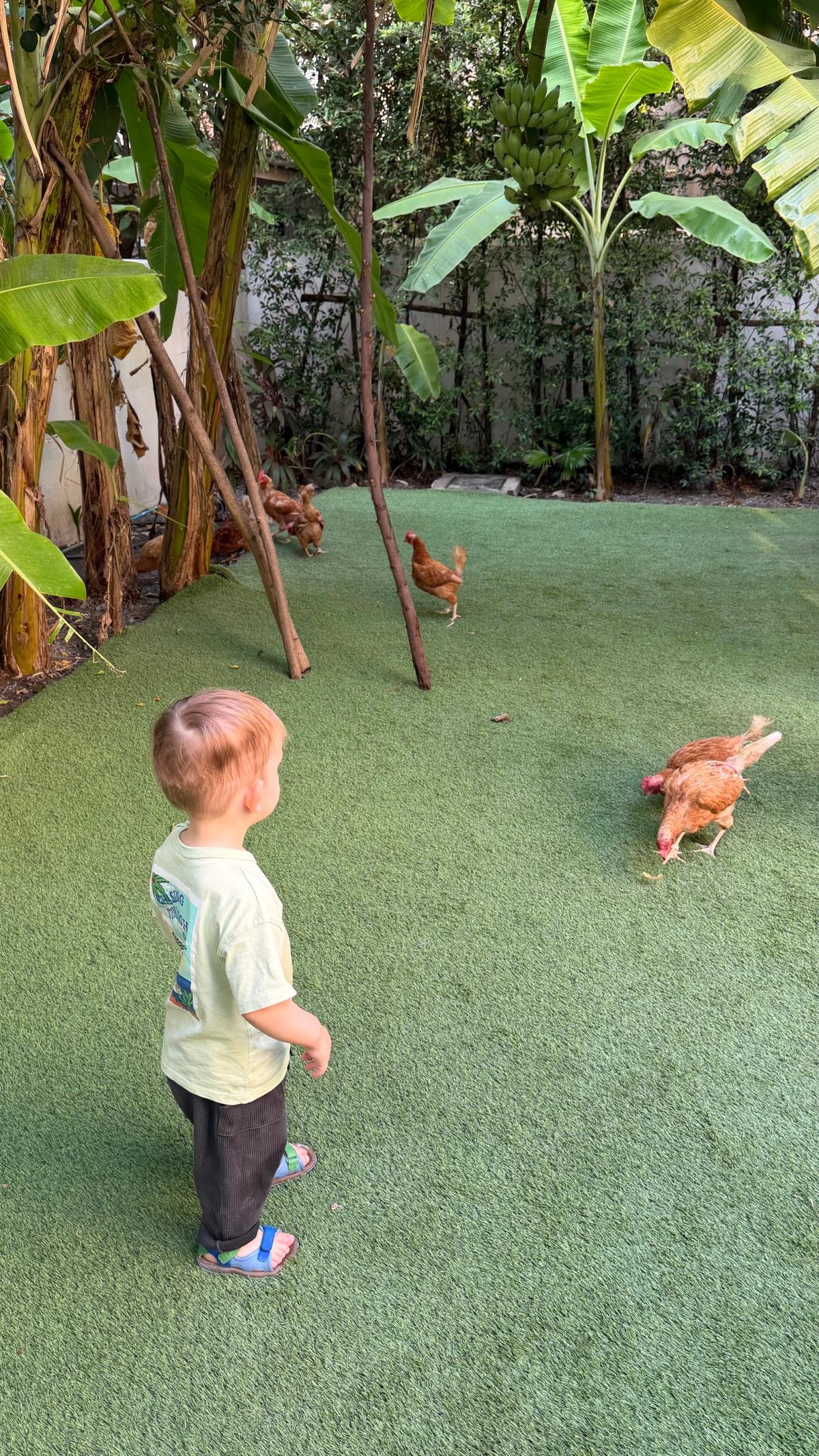 Playground at KIMS - Image 8