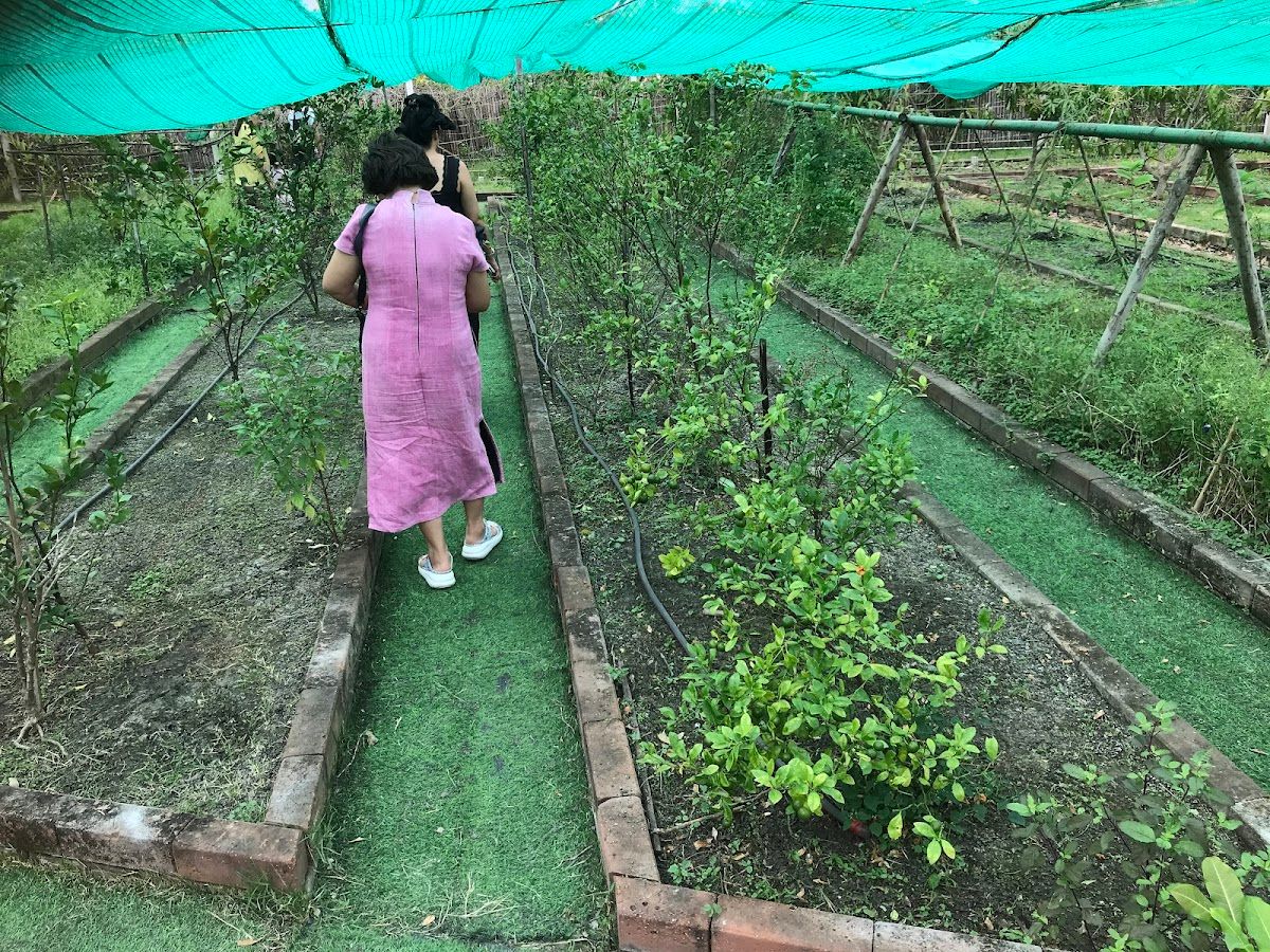 My Little Farm – Kids Cafe - Image 10