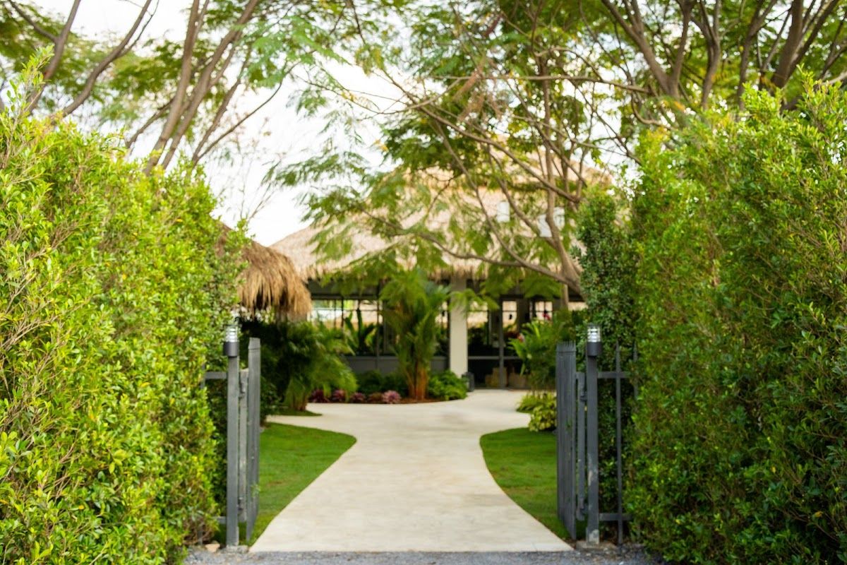 Sweet Poppy - Image 4