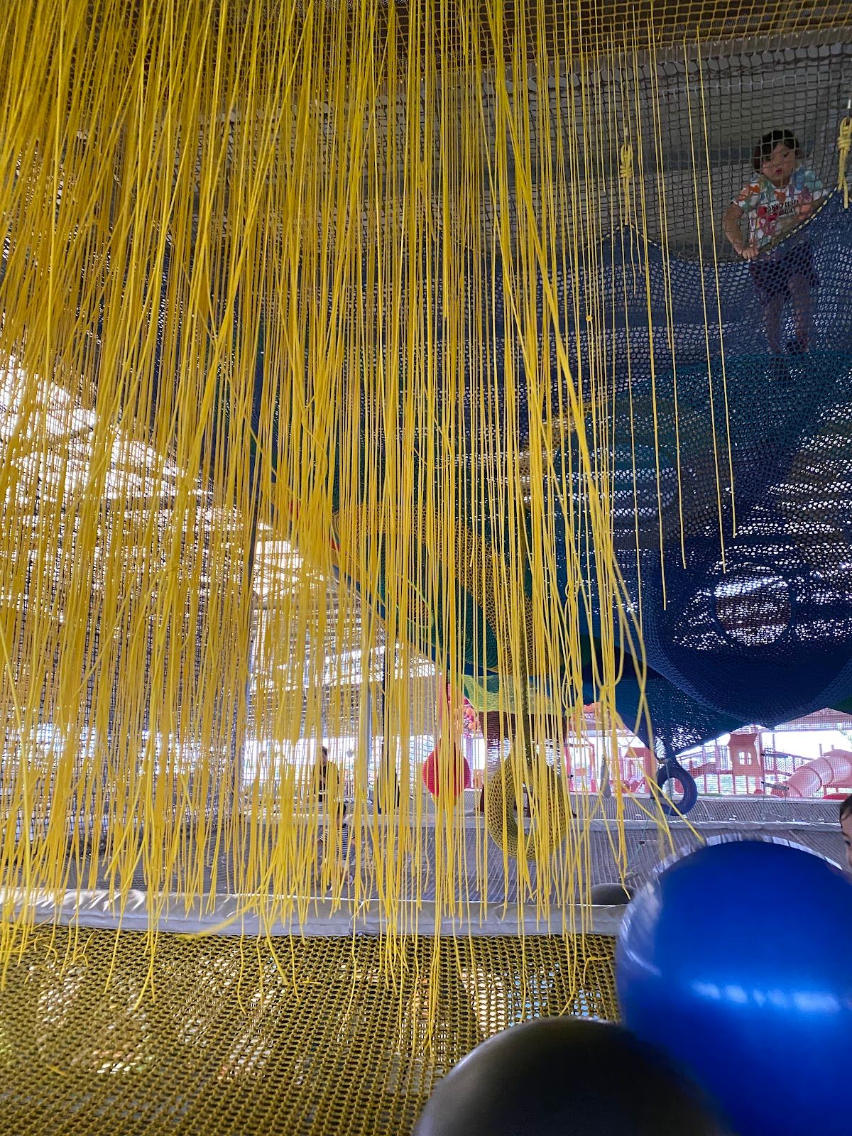 Net Playground - Image 10