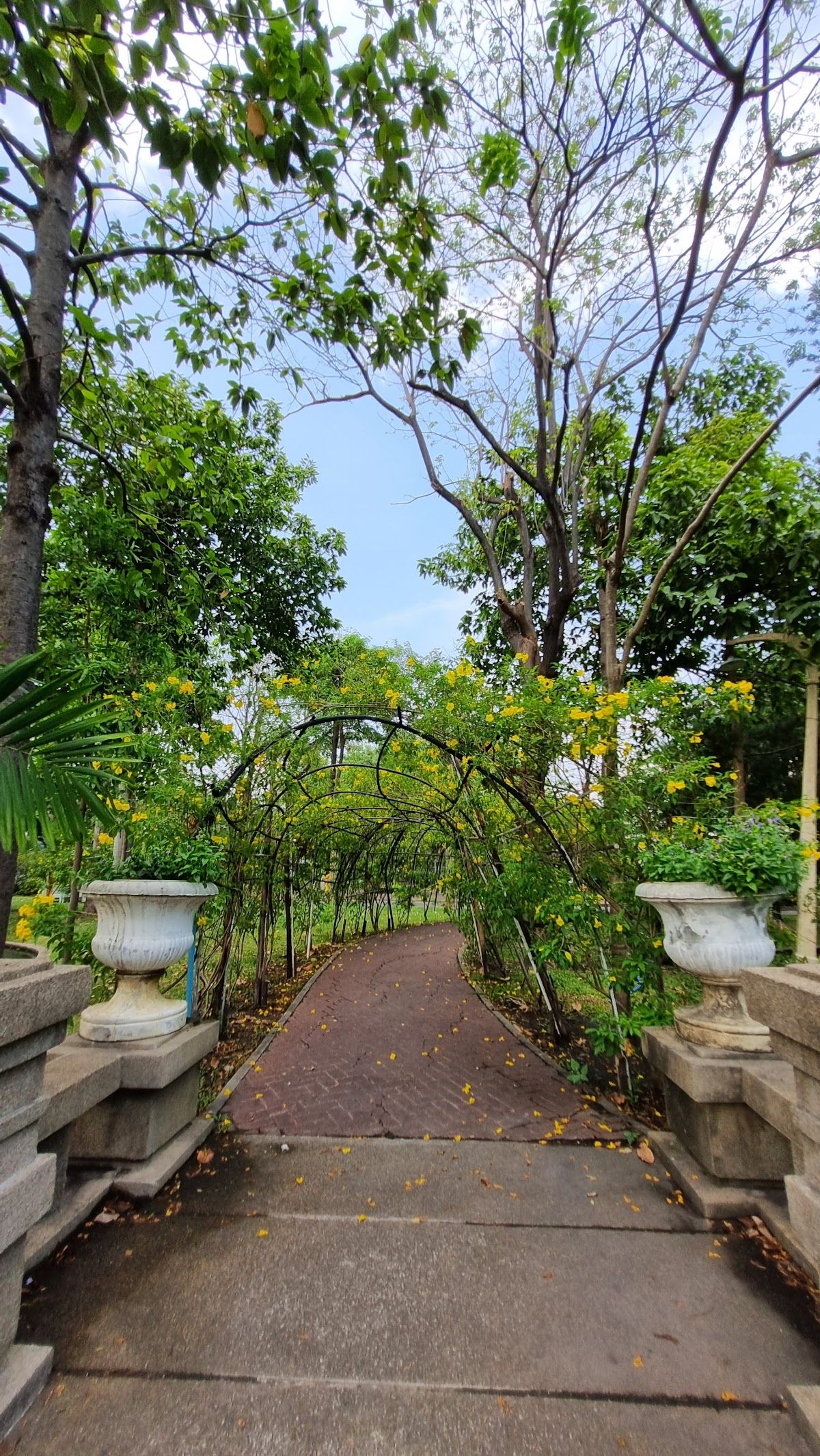 Playground - Image 10