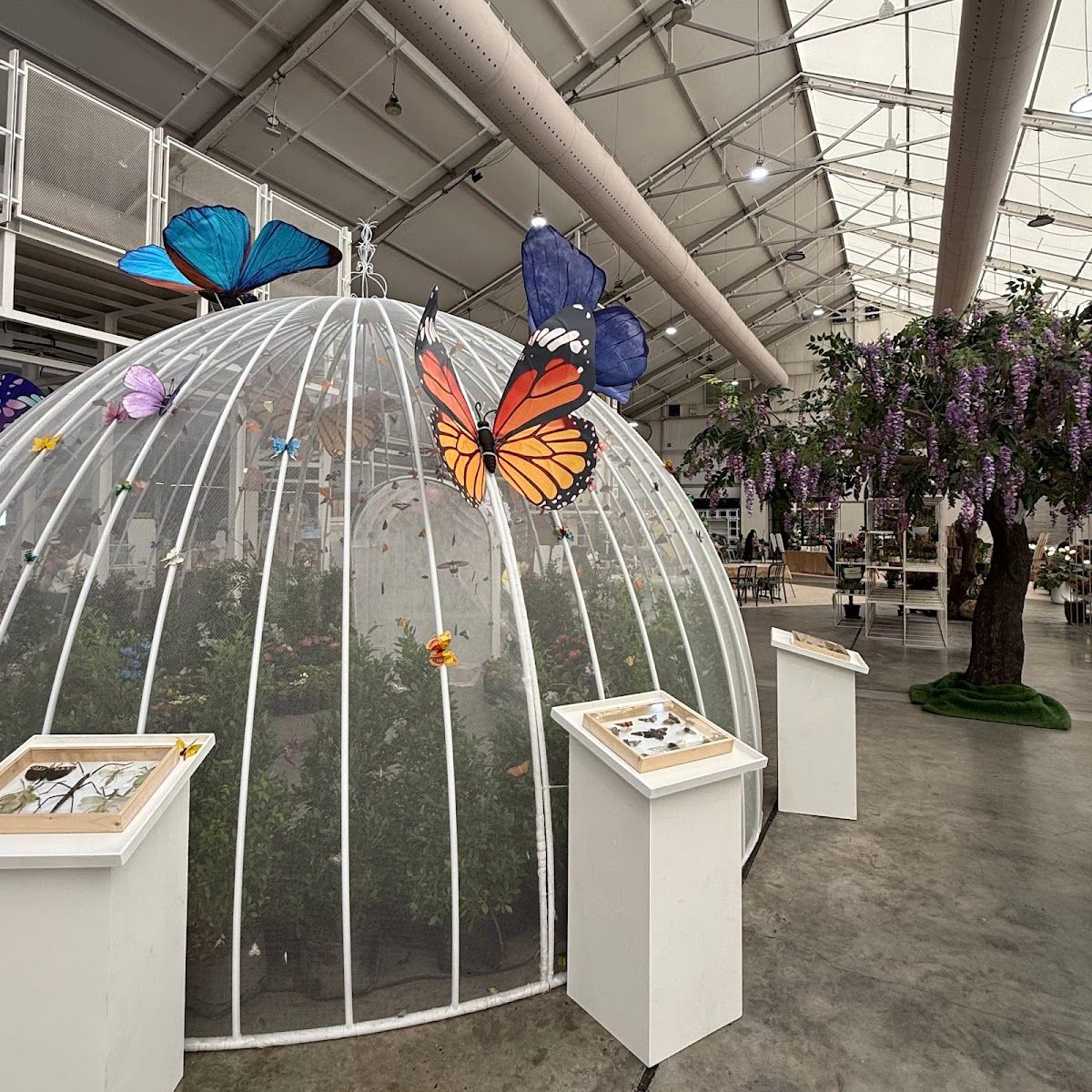 SAMA Garden - Image 5