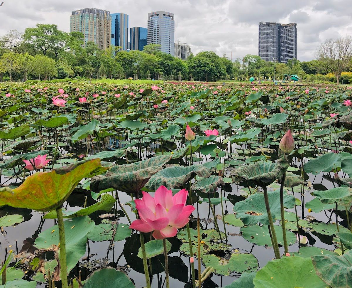 Wachirabenchathat Park - Image 5