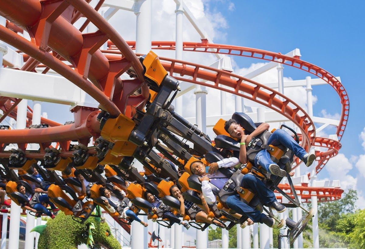 Dream World - Image 3