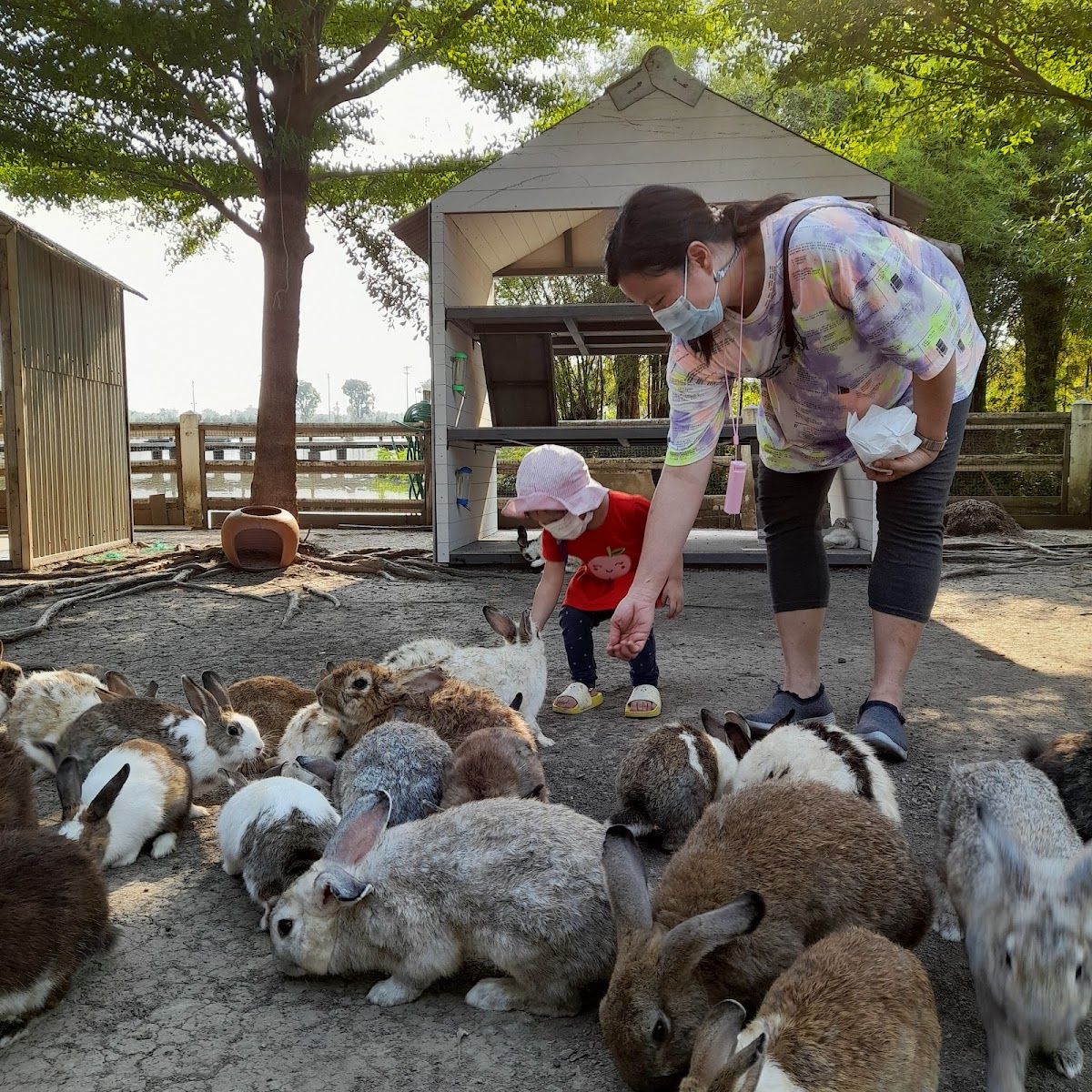 Dubua Cafe - Image 9