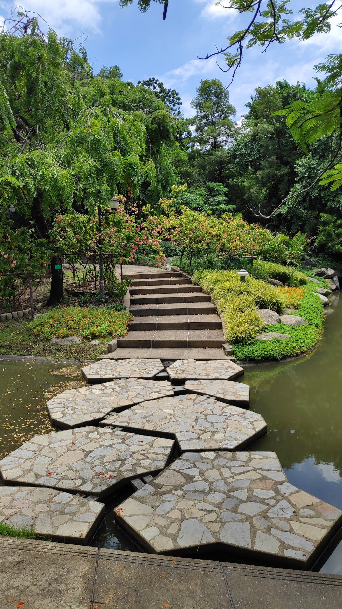 สวนสมเด็จพระนางเจ้าสิริกิติ์ - Image 9