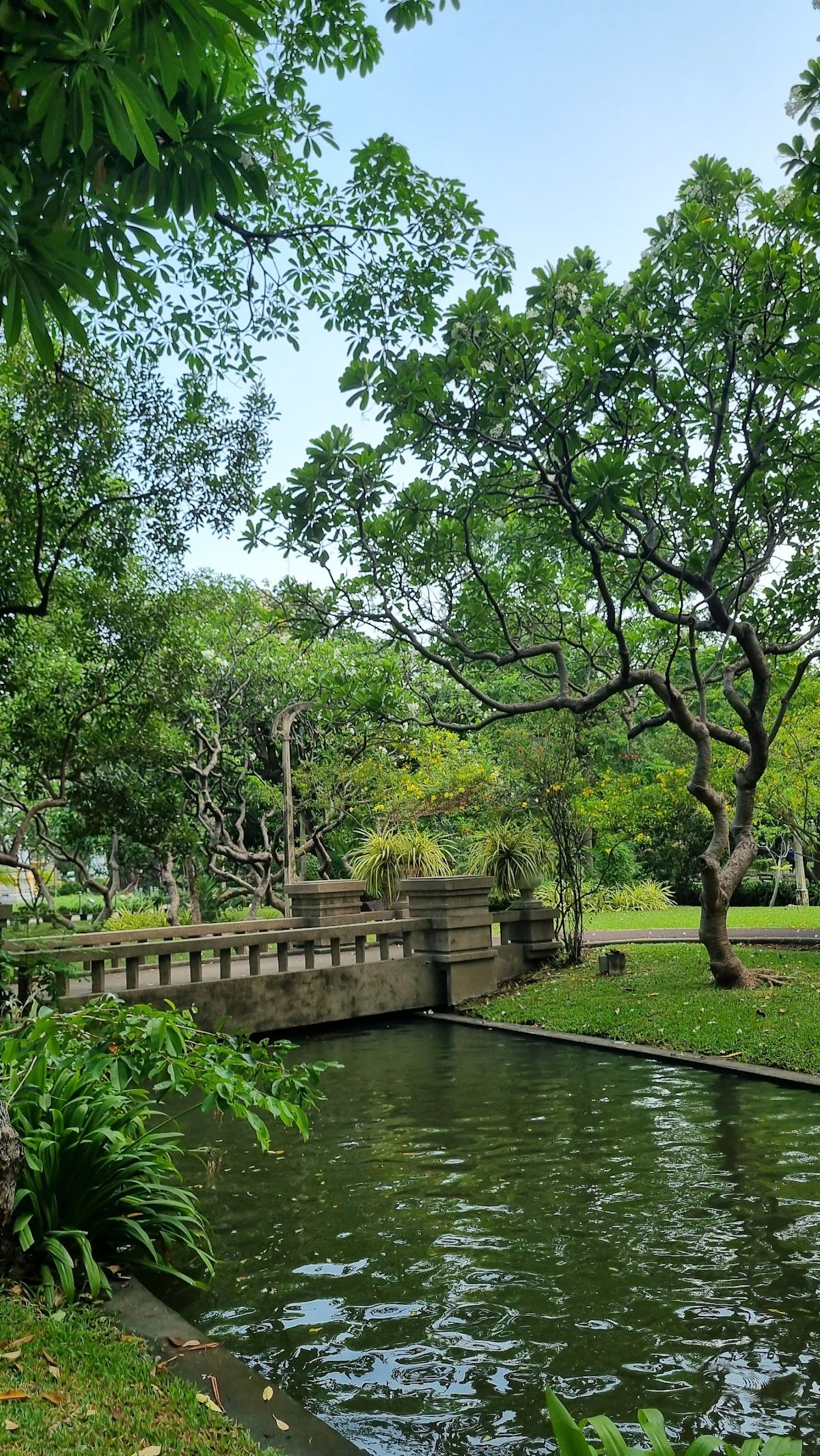 Playground - Image 2