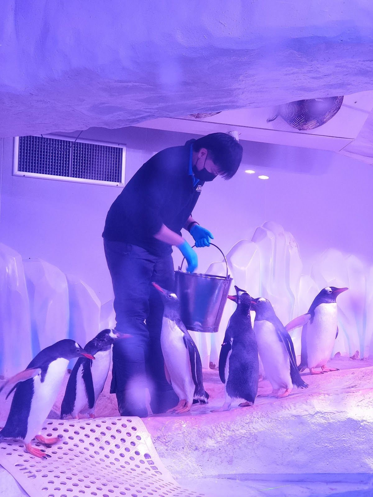 Sea Life Bangkok Ocean World - Image 6