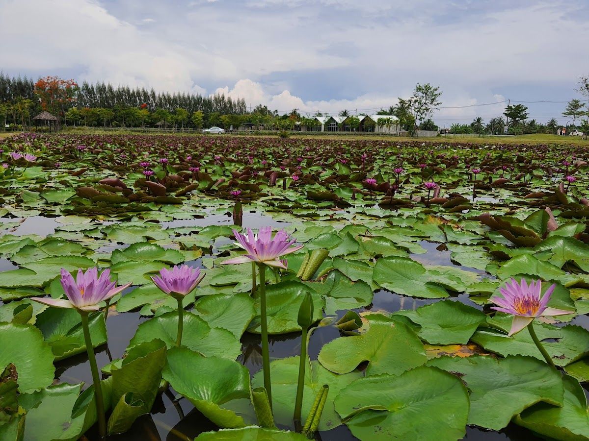 Dubua Cafe - Image 5