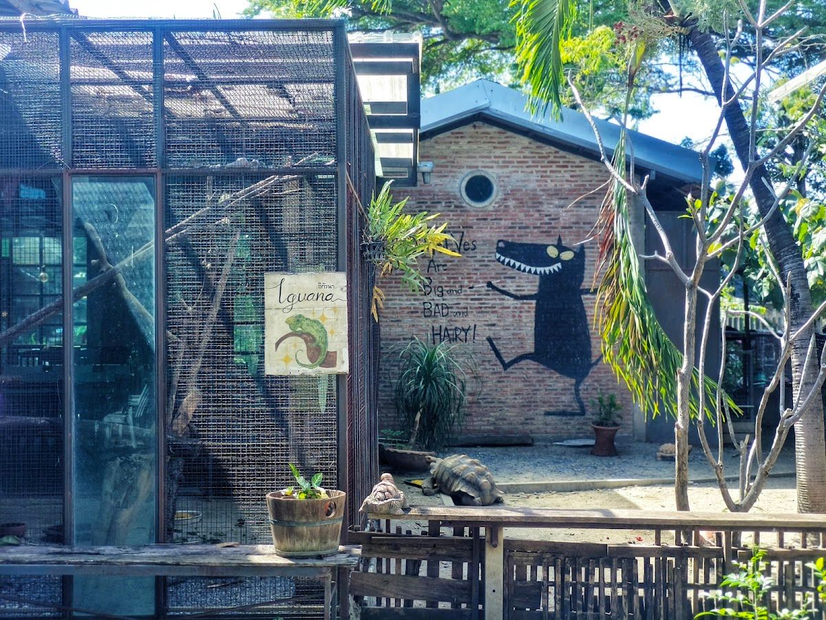 The Three Little Pigs - Image 8