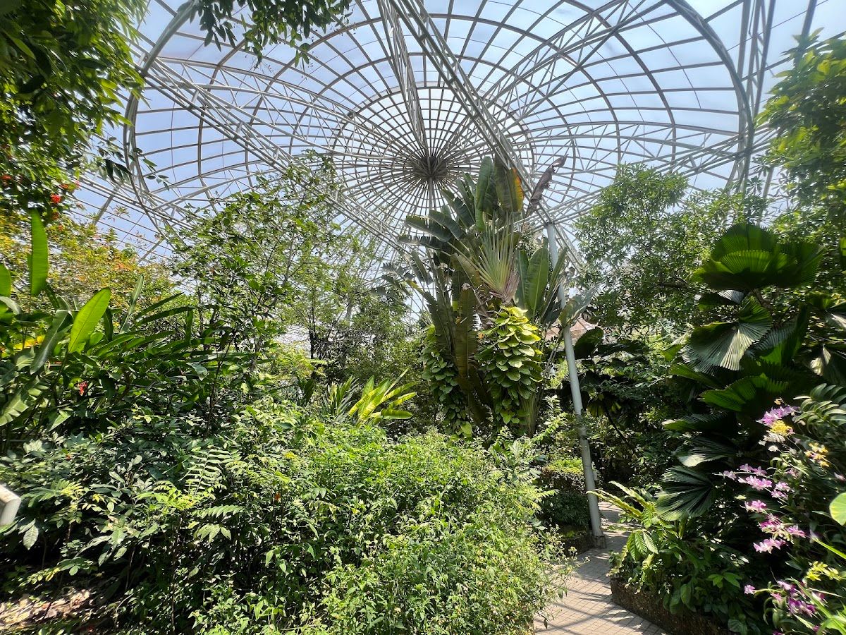 Bangkok Butterfly Garden and Insectarium - Image 2