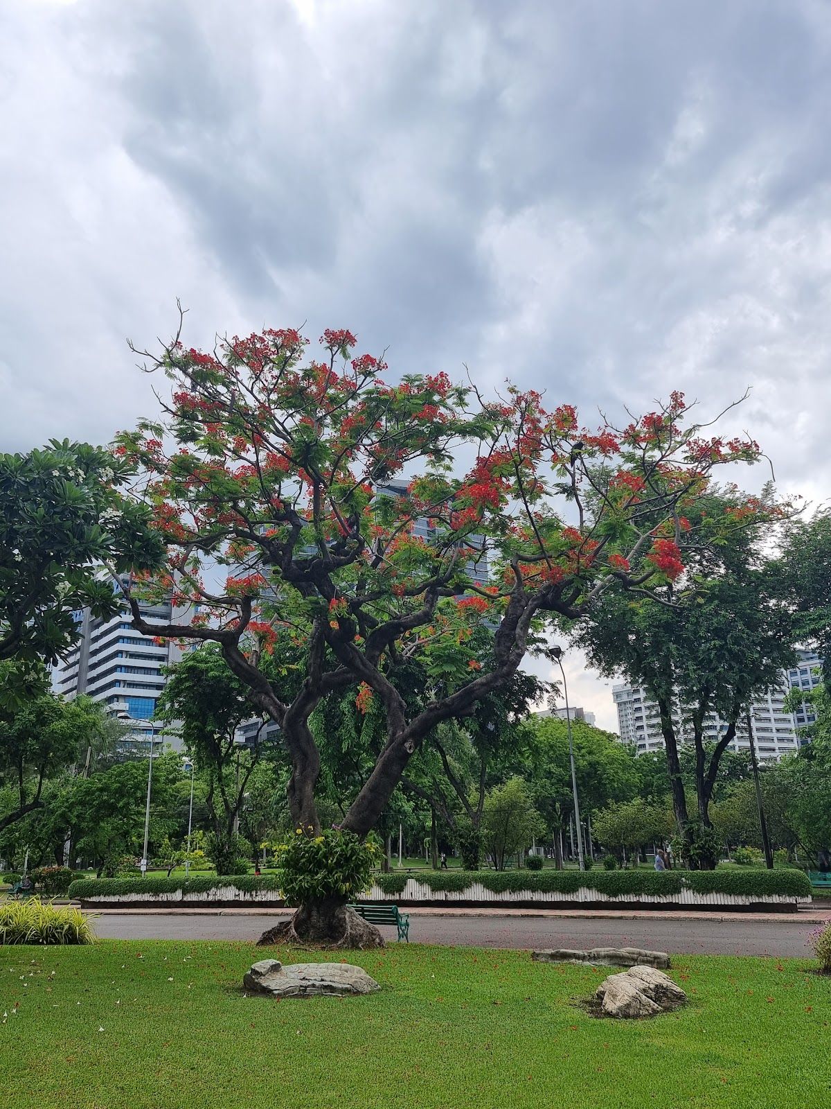 สนามเด็กเล่น - Image 9