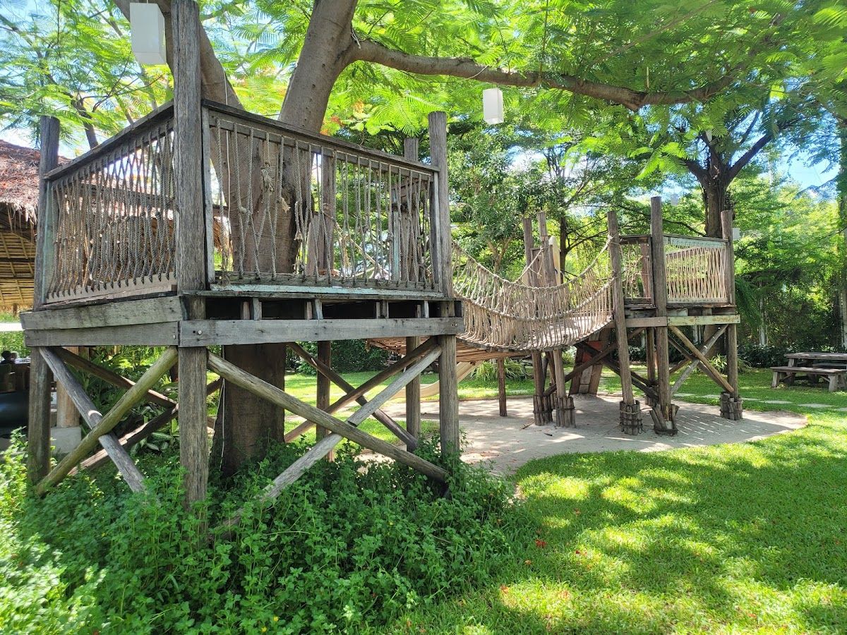 Sweet Poppy - Image 8