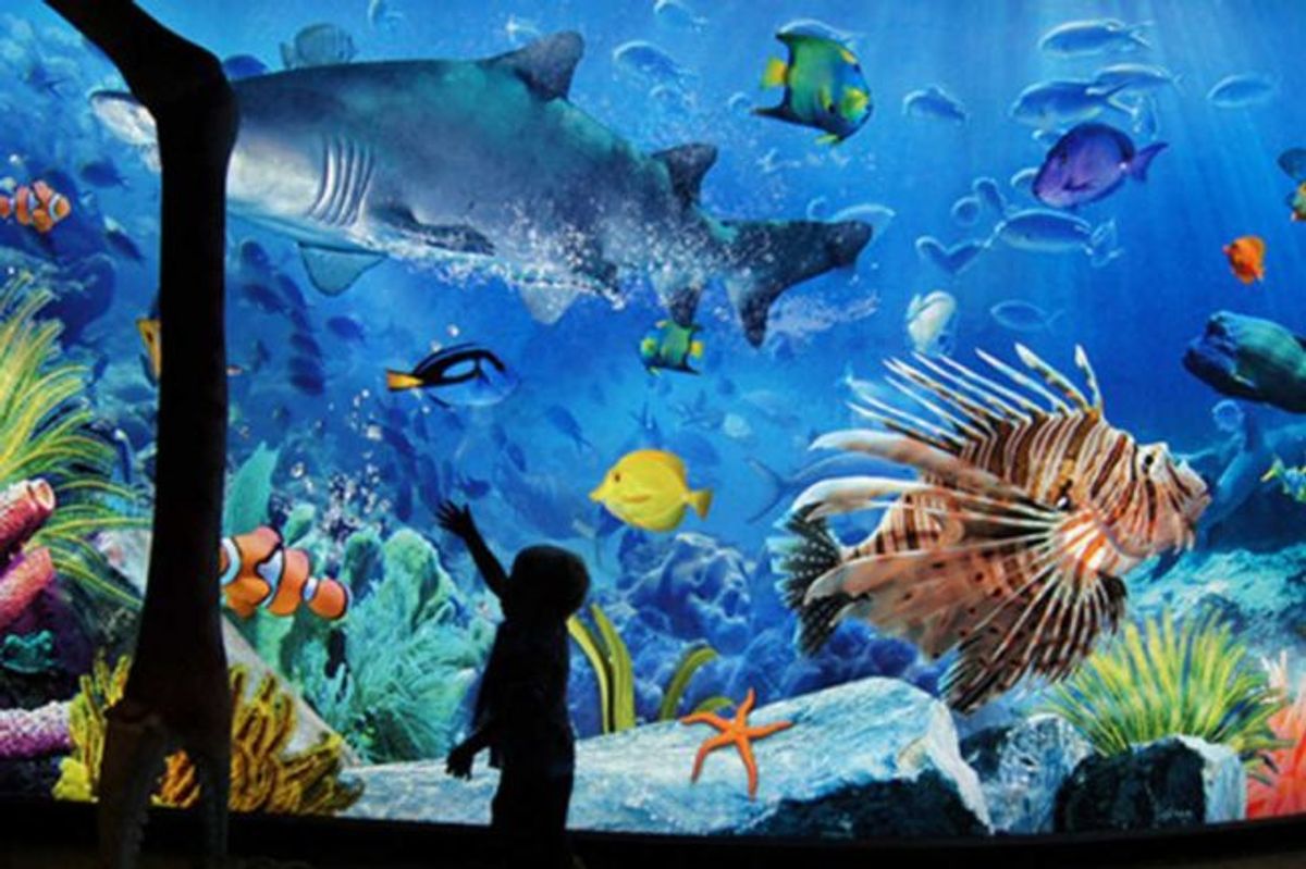 Sea Life Bangkok Ocean World - Image 4